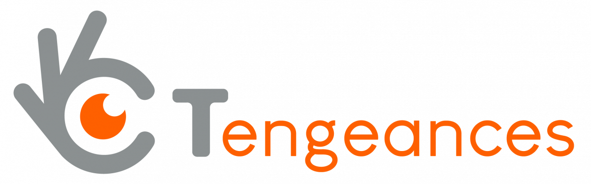 logo de Tengeances - grossiste en matériel pour opticiens
