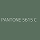 picto-colorant-gris-vert-pantone-5615c